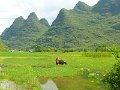 Yangshou (047)